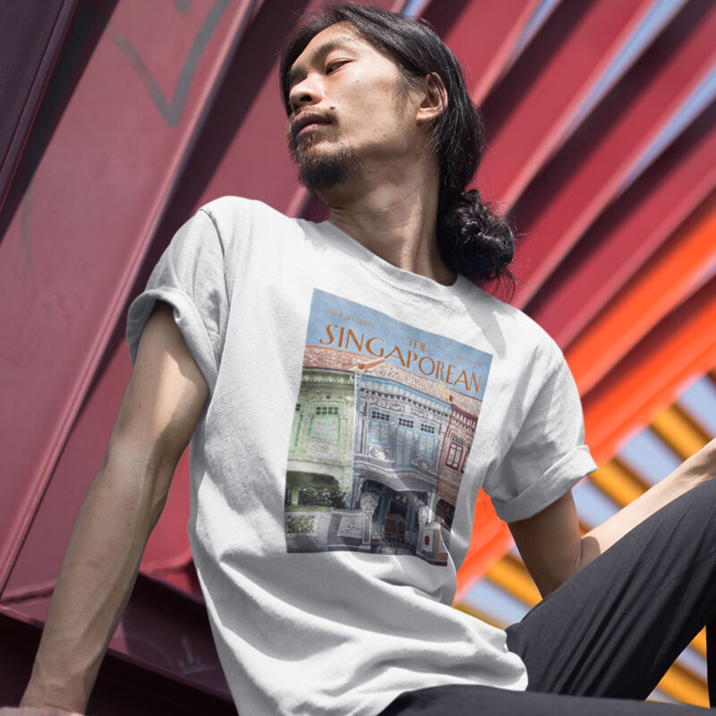 Peranakan Shop Houses: Grey Thumbnail